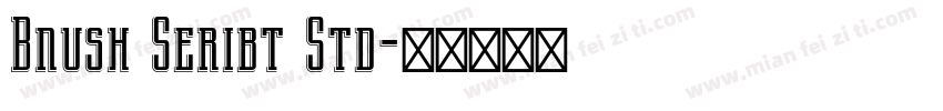 Bnush Seribt Std字体转换